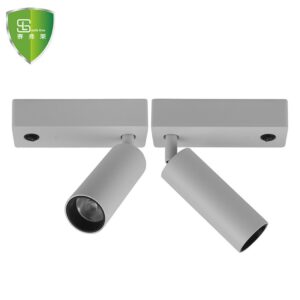 Multi-Directional Track Light – Customize Your Lighting