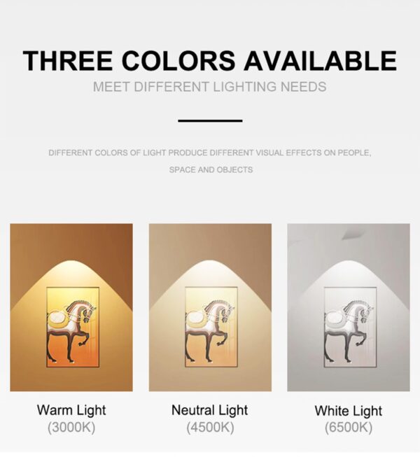 Dimmable LED Down Light – Customize Your Ambiance - Image 2